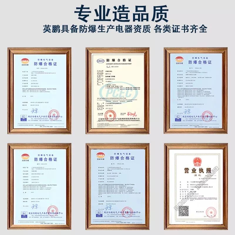 1596771424741757.jpg 英鹏证书.jpg