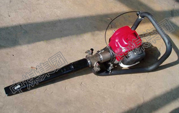 小蜜蜂捣固机长期供应小蜜蜂捣固机价格小蜜蜂捣固机热销