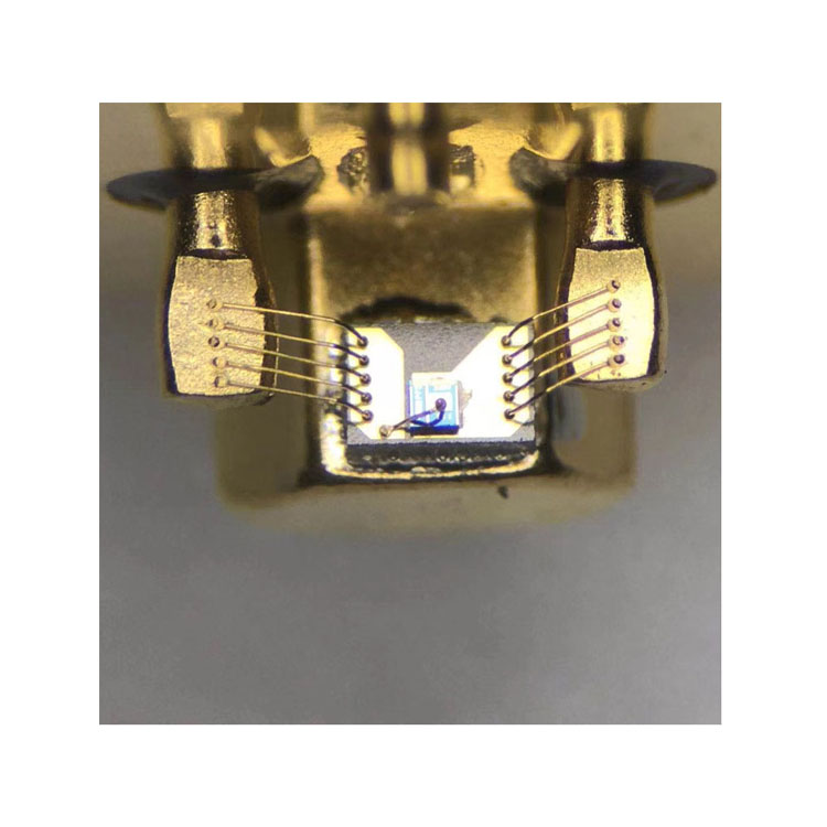 1602577480606270.jpg 22.jpg