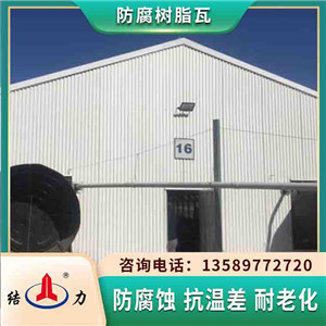 山东济宁防腐塑料瓦 asa防腐瓦 厂房树脂瓦耐候绝缘