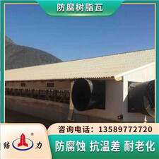 安徽安庆合成树脂瓦 pvc耐腐瓦 新型墙体板材耐候绝缘