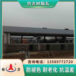 结力仿古型塑料瓦 江苏南通竹节仿古瓦 别墅琉璃瓦抗拉伸