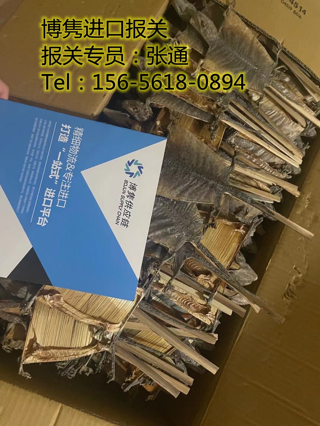 天津蛤蚧进口报关代理公司