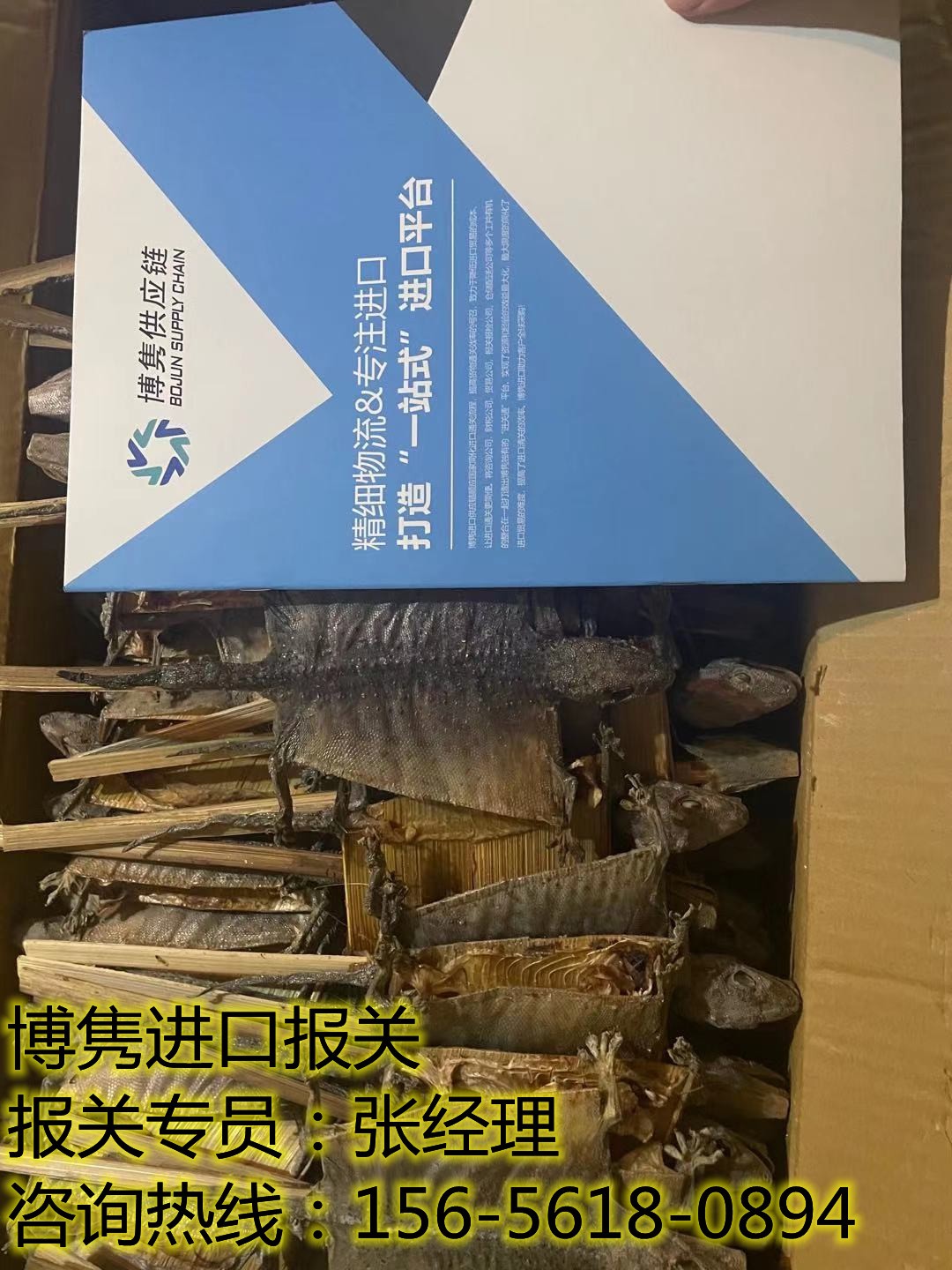 天津蛤蚧进口报关代理
