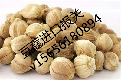 天津豆蔻报关代理公司