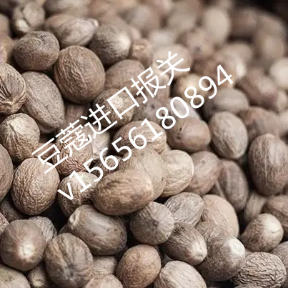 天津白豆蔻清关代理