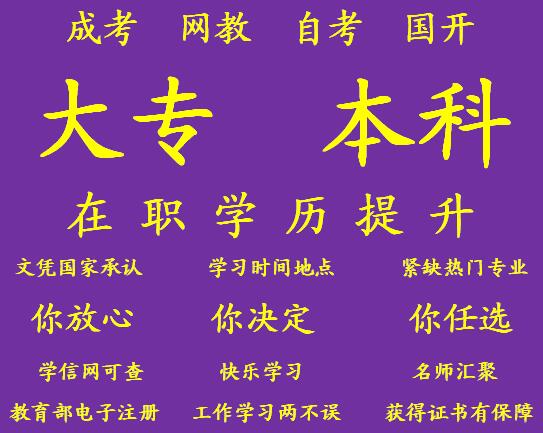 1625893381949779.jpg 紫1.jpg