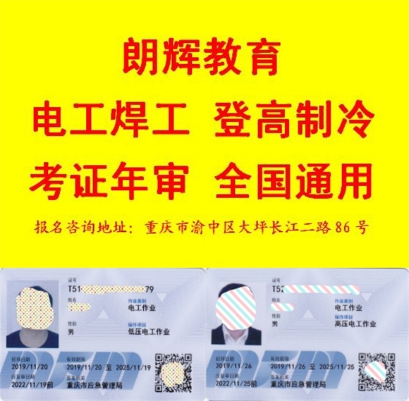 1631333865219565.jpg ---黄2---.jpg
