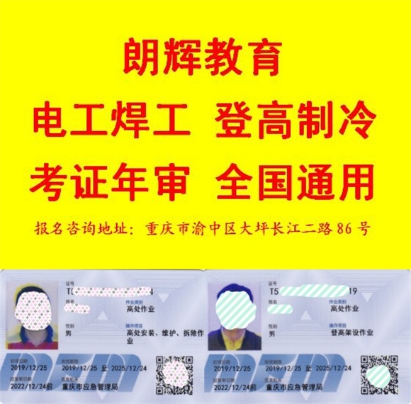 1631698890576131.jpg ---黄2---.jpg
