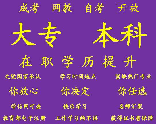 1634354455517702.jpg 紫1.jpg