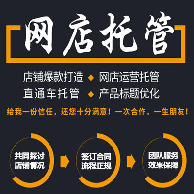 湖北省电商代运营公司 一站式运营推广服务 易城网科资深团队运营 打造高销量