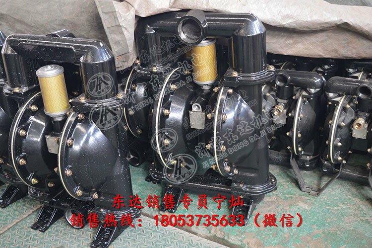 BQG450/0.2 隔膜泵