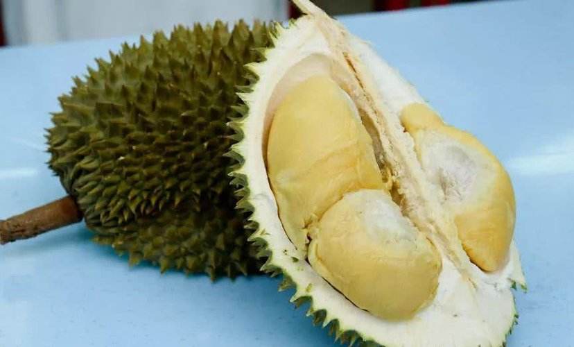 ​榴莲进口报关天津港水果进口报关代理