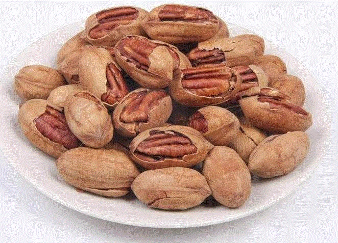 1626233800505098.jpg 坚果jpeg.jpg