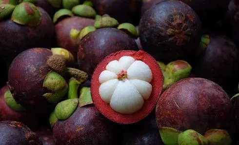 天津报关公司 (14).jpg