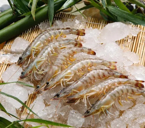 1641352134516218.jpg 天津报关行 (5).jpg