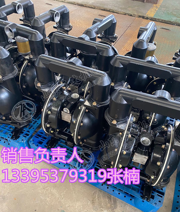 BQG200/0.4气动隔膜泵价格 铸铝隔膜泵