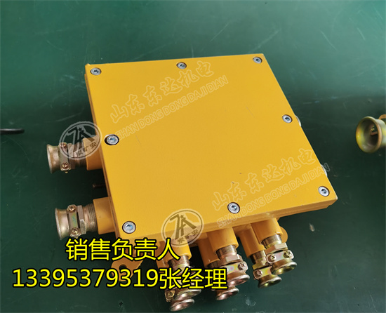 矿用低压电缆接线盒 BHD-10/127-16G隔爆接线盒