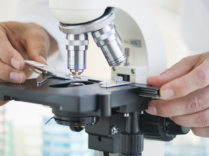 办理德国Bfarm专业人士列名PEI性能验证服务