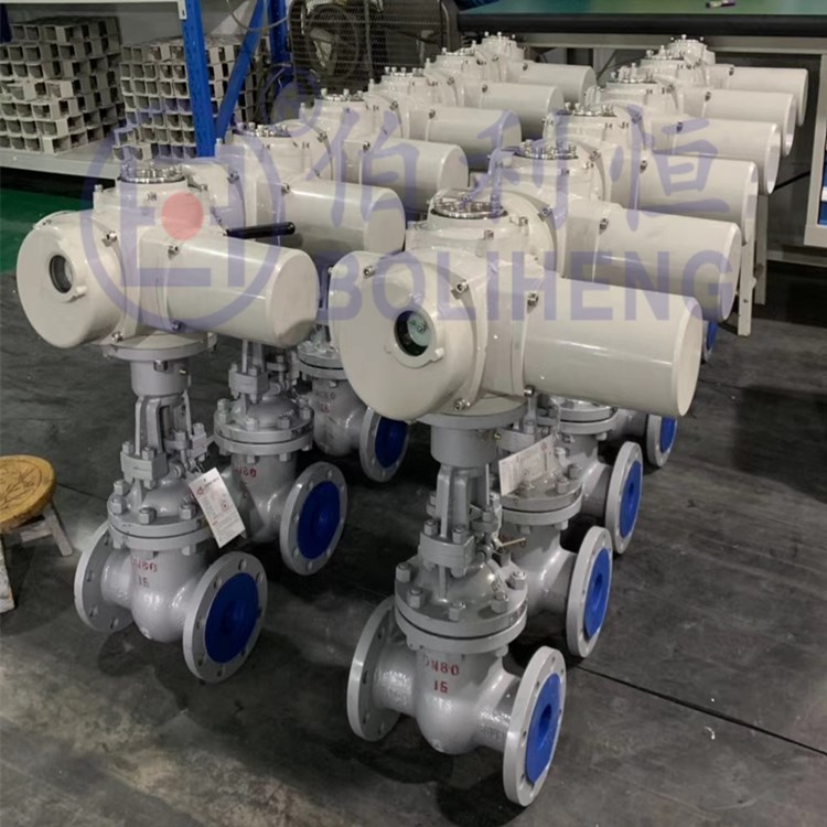 智能开关型电动装置Z30-18T,DZW30-24W