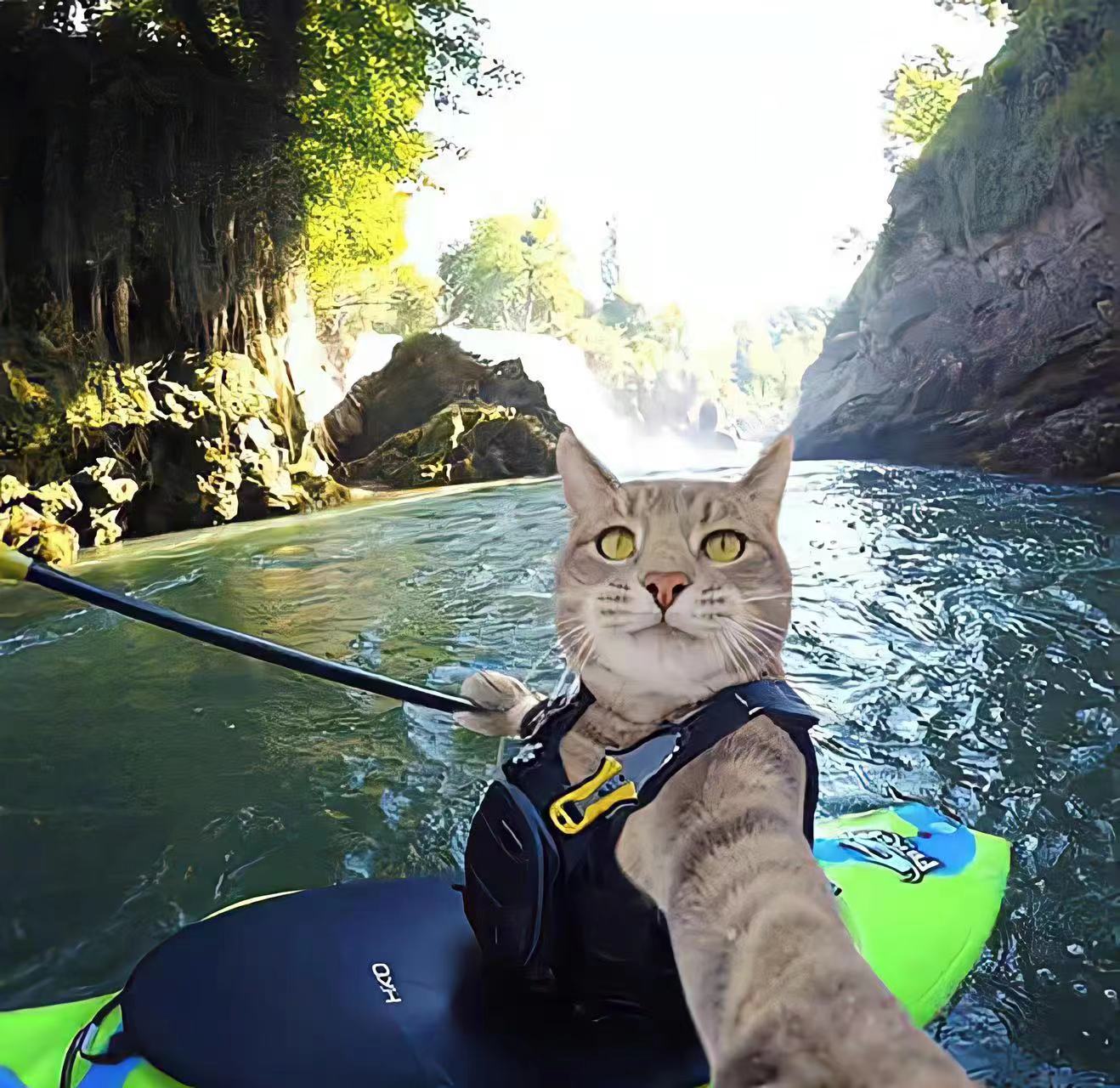 郑州转让建筑（房建）三级资质公司对比西安房建三级使用场景普遍