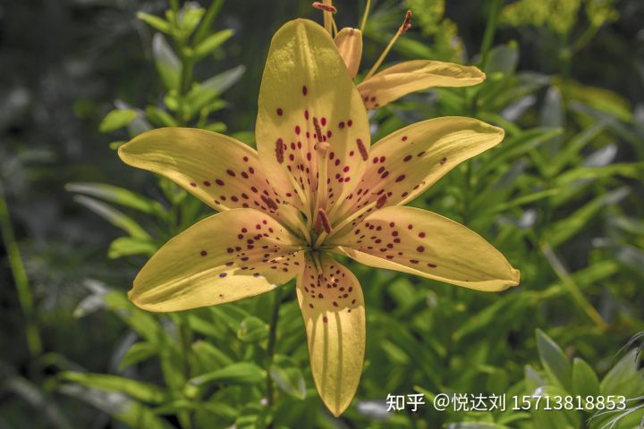 郑州商贸业财务外包，进销存混乱问题如何解决