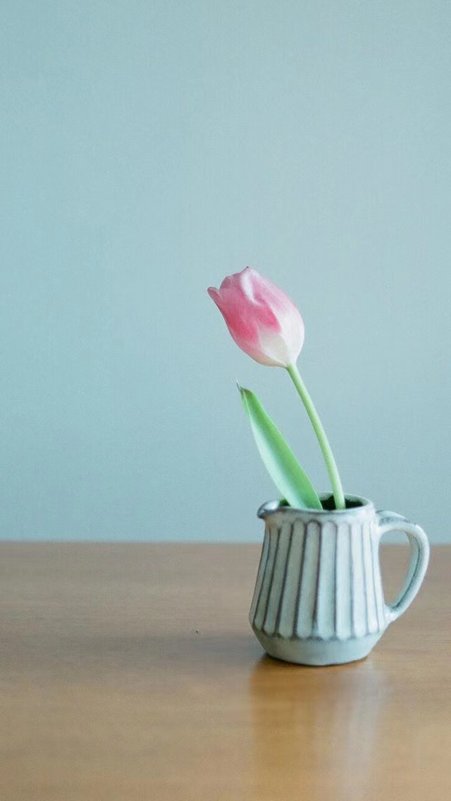 河南商贸行业财务外包，快消品行业财务外包