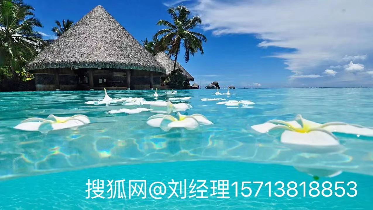 河南郑州建筑业合理规划财务、财务税务整体外包出去这样安全吗？