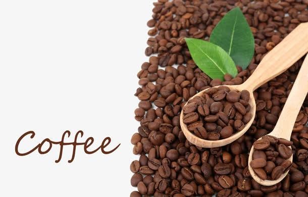 咖啡豆进口报关