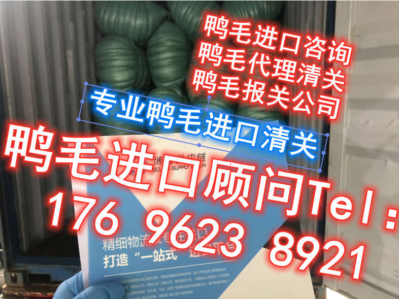 杭州萧山鸭毛进口报关代理