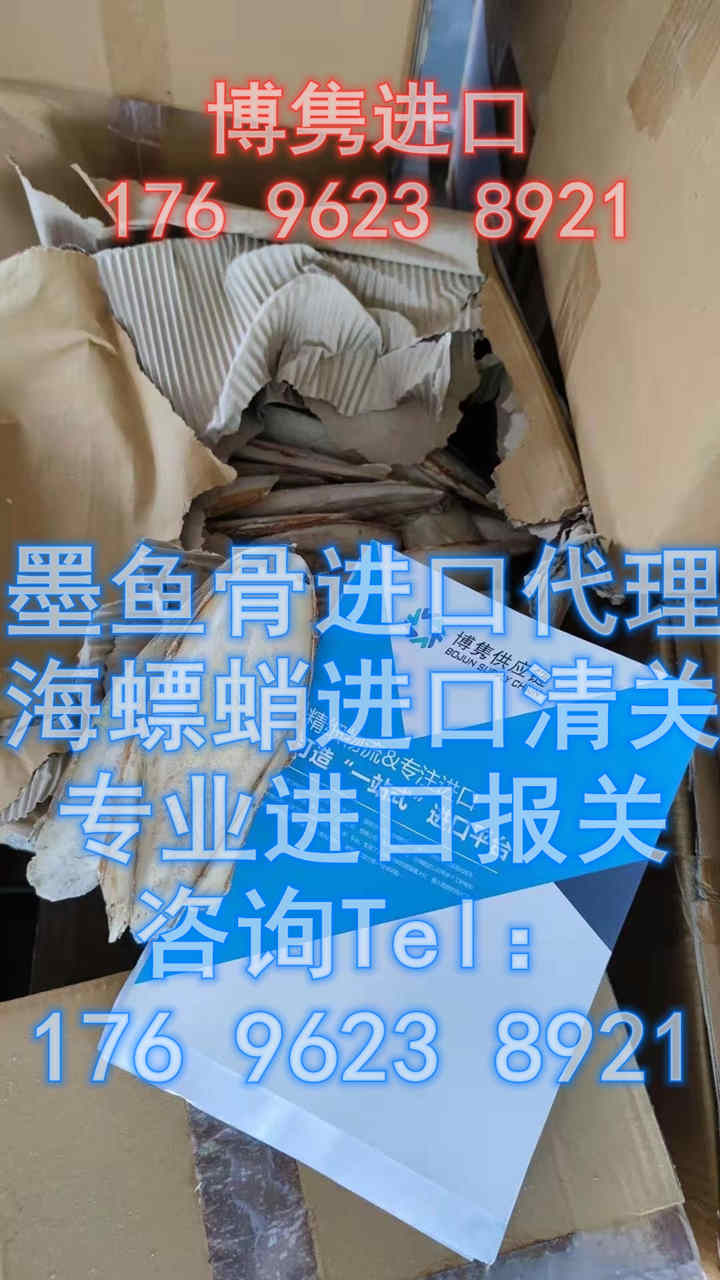 天津港海螵蛸进口清关代理公司