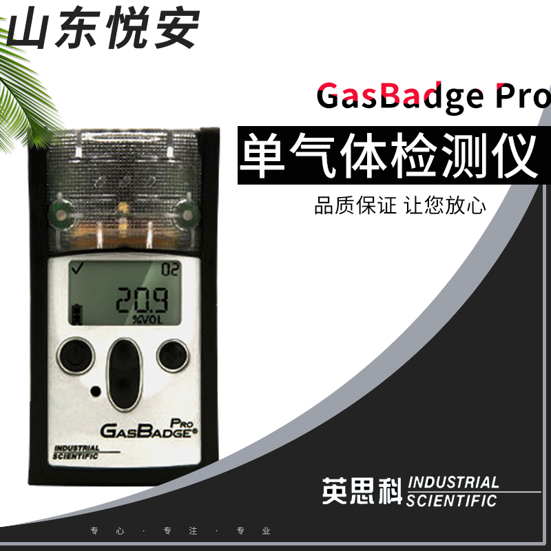 美国英思科GB60手持式一氧化碳气体检测仪