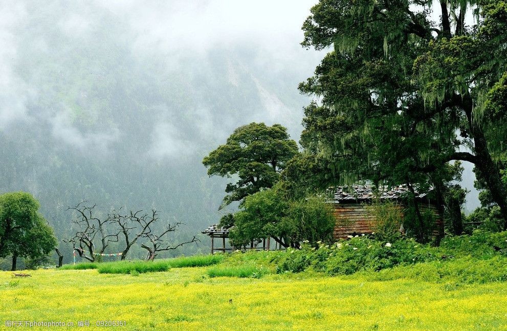 郑州消防一级资质转让河南房建三级消防一级资质需要多少钱