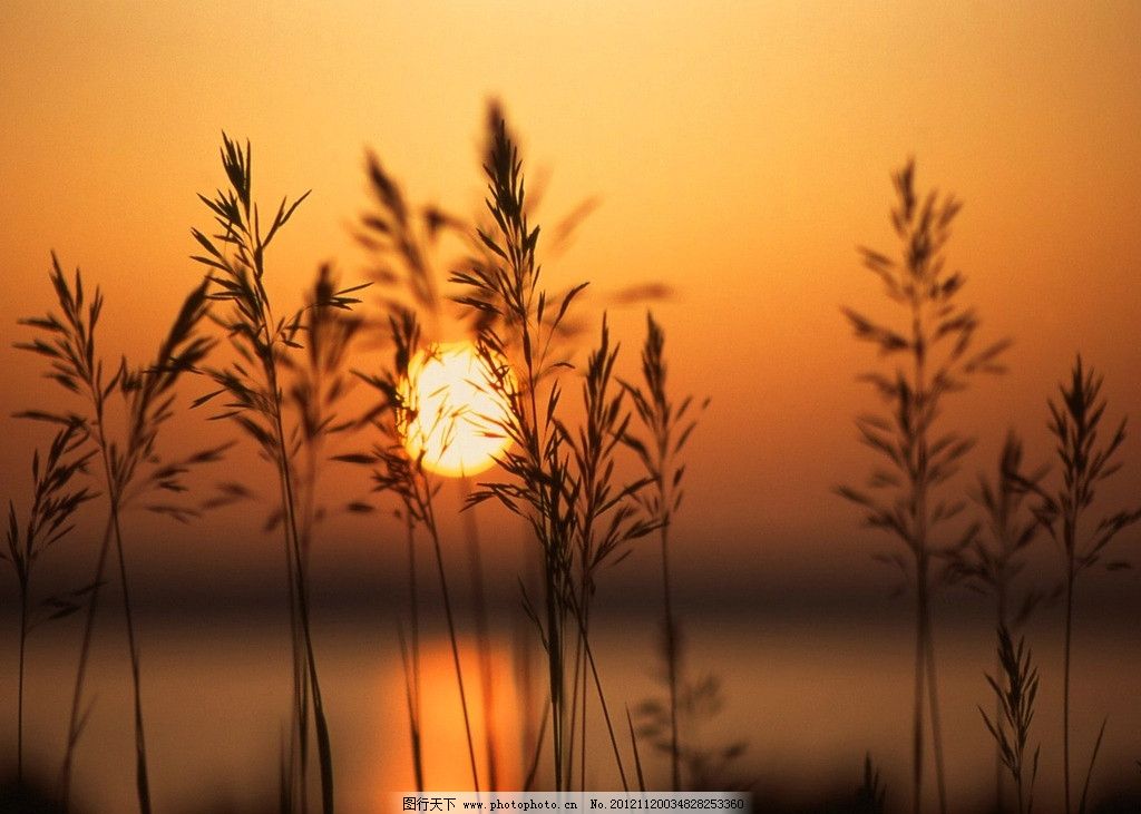 省内房建二级资质转让河南房建二级市政三级钢结构二级资质转让是如何完成的?