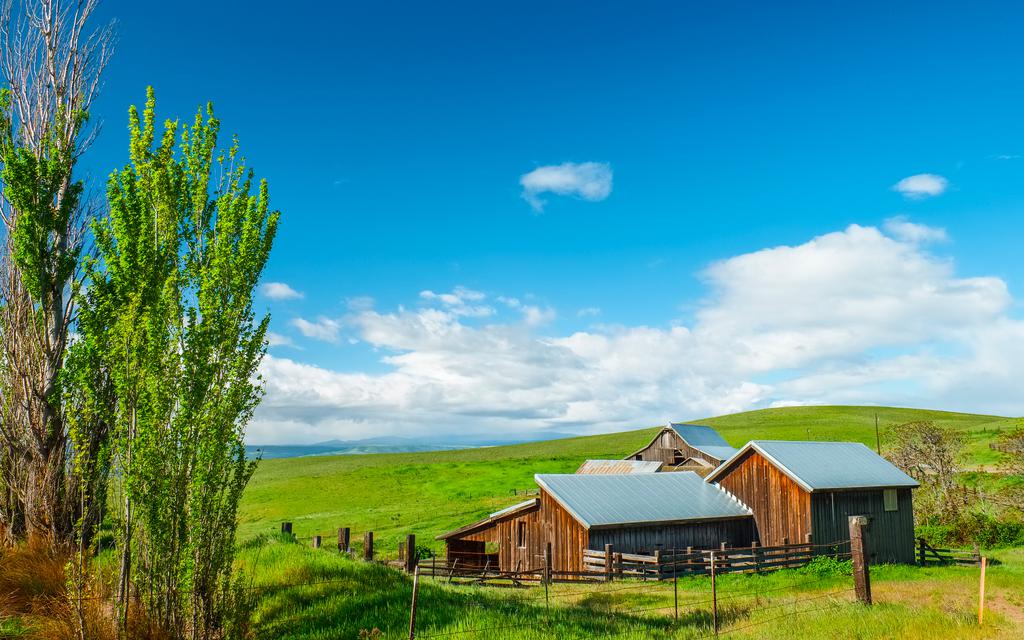 郑州剥离房建二级资质转让河南房建二级市政二级资质带建造师转让