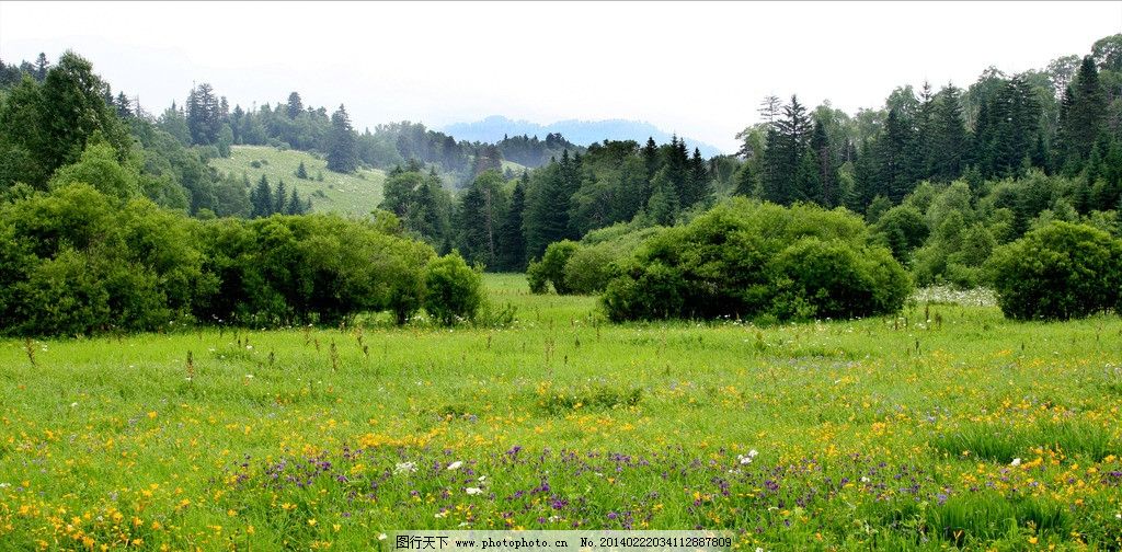 郑州市内【房建三级市政三级资质转让】郑州市政公用工程三级资质转让