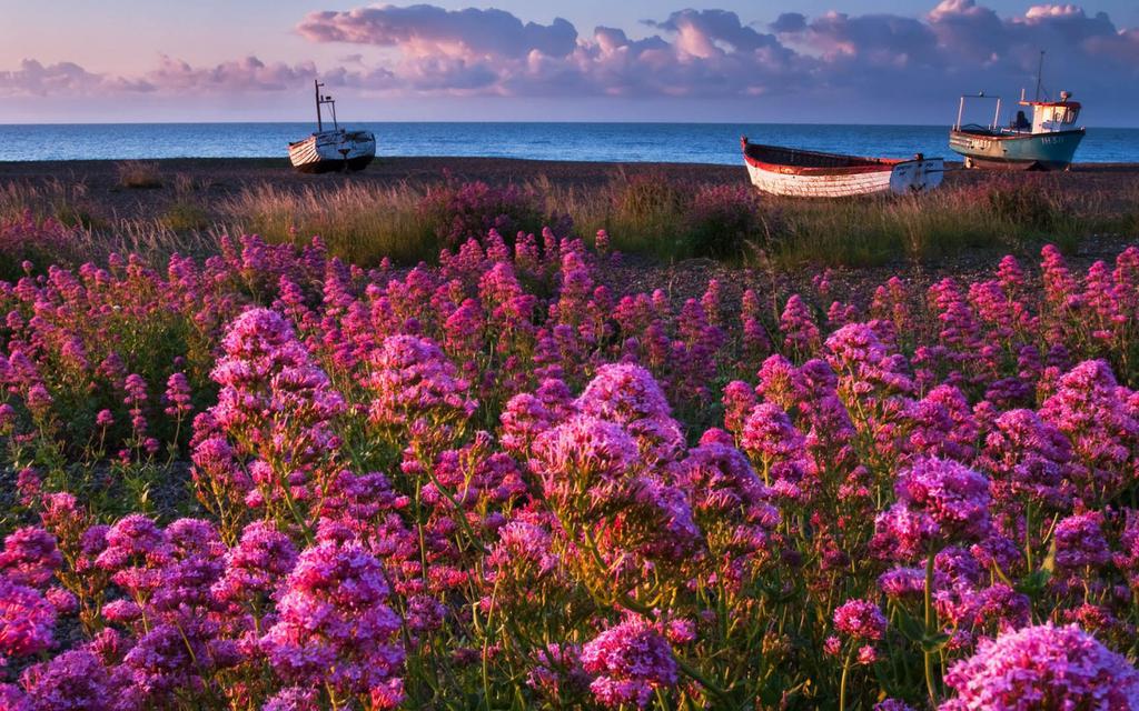 郑州房建三级资质转让河南多家公司建筑转让时能遇到什么问题？