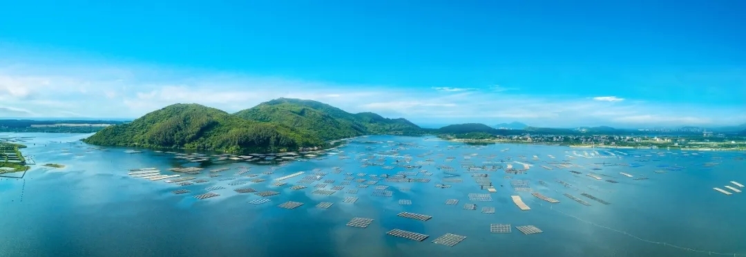 新乡长垣房建二级劳务资质转让河南房建二级市政二级装修一级劳务资质转让