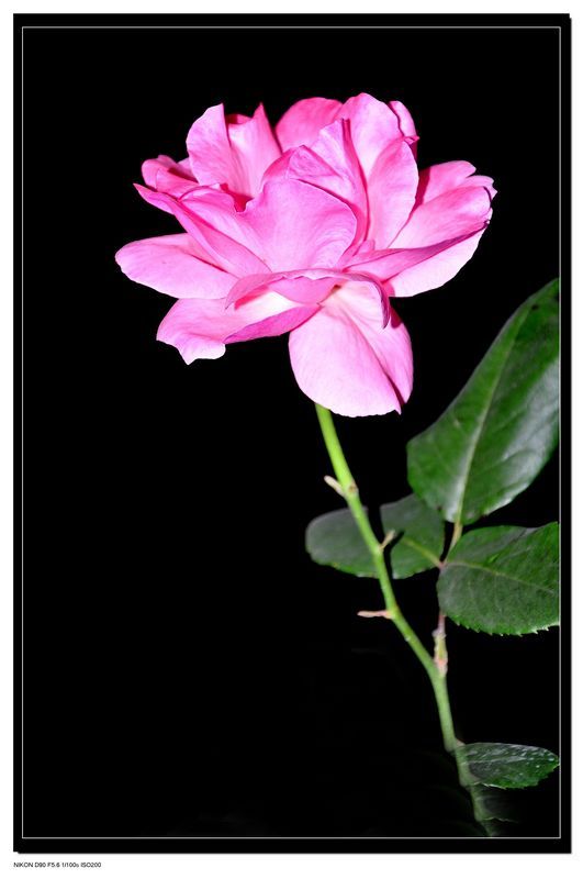 郑州生产企业代理记账和财务外包二者的区别