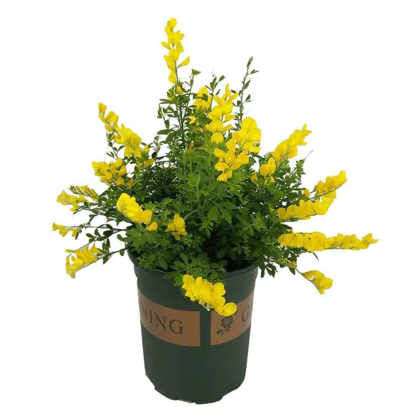 郑州建筑企业财务外包新型的财务服务模式