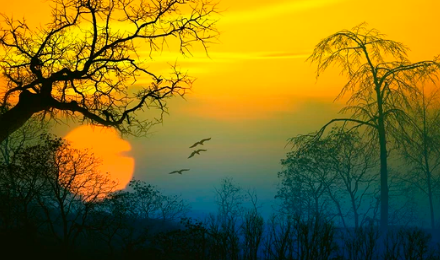 河南地基一级转让 郑州电子与智能化一级转让【9.22已更新】