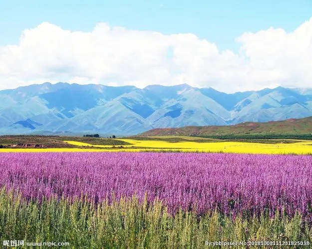 郑州建安行业/商贸公司/餐饮公司如何把控涉税风险进行合规节税？