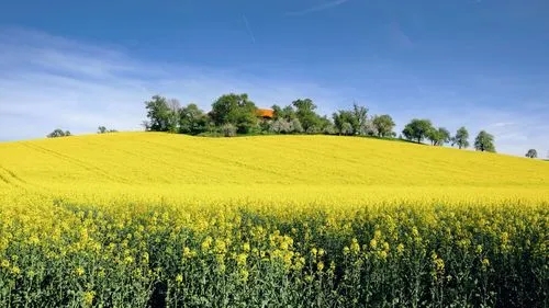 河南/新乡/郑州建安企业涉税风险管控合规节税方案财务外包清账内审
