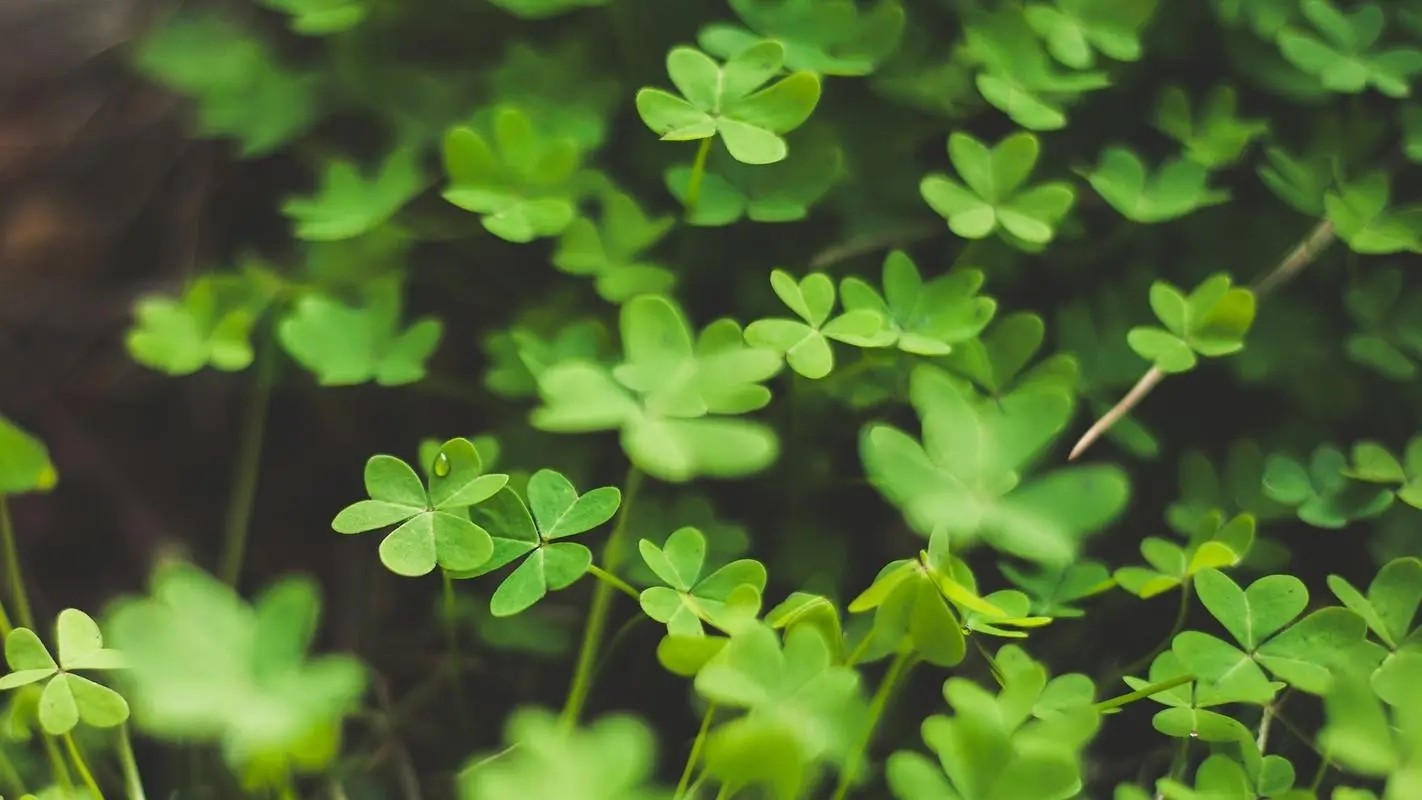 郑州企业怎样把控涉税风险，账务合规清账内审办法