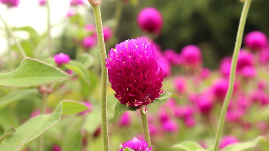 郑州市市政三级资质转让，郑州市房建三级资质转让