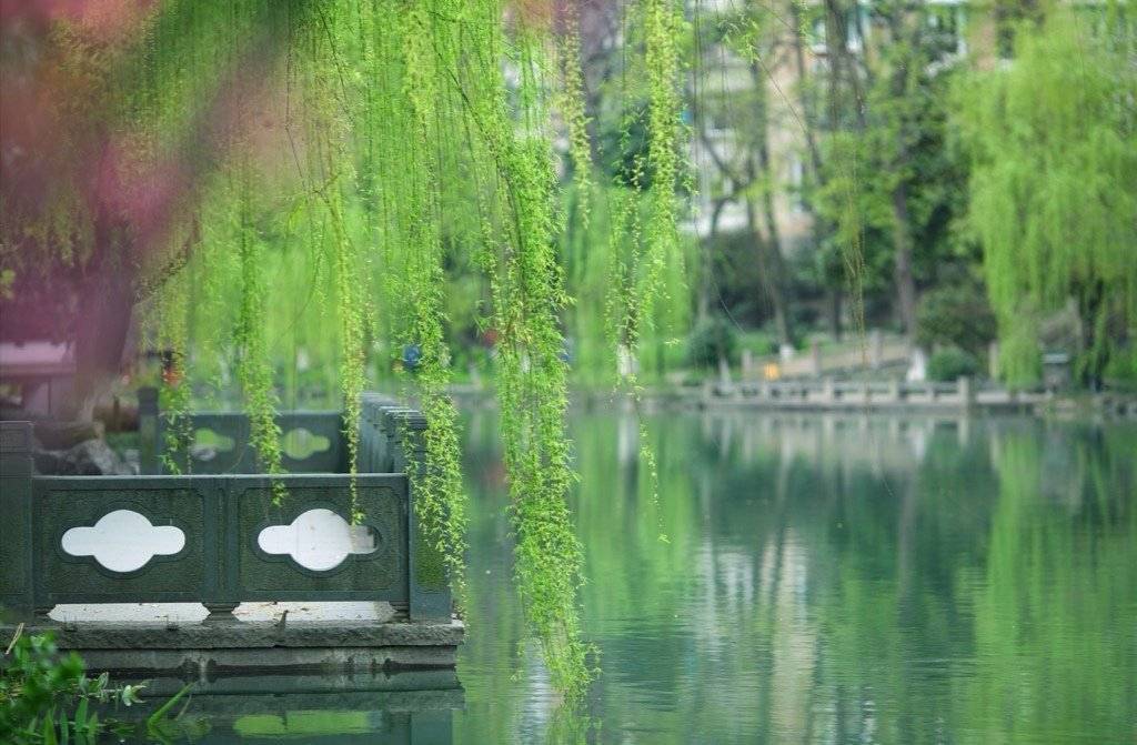 微信图片_20200312142841.jpg