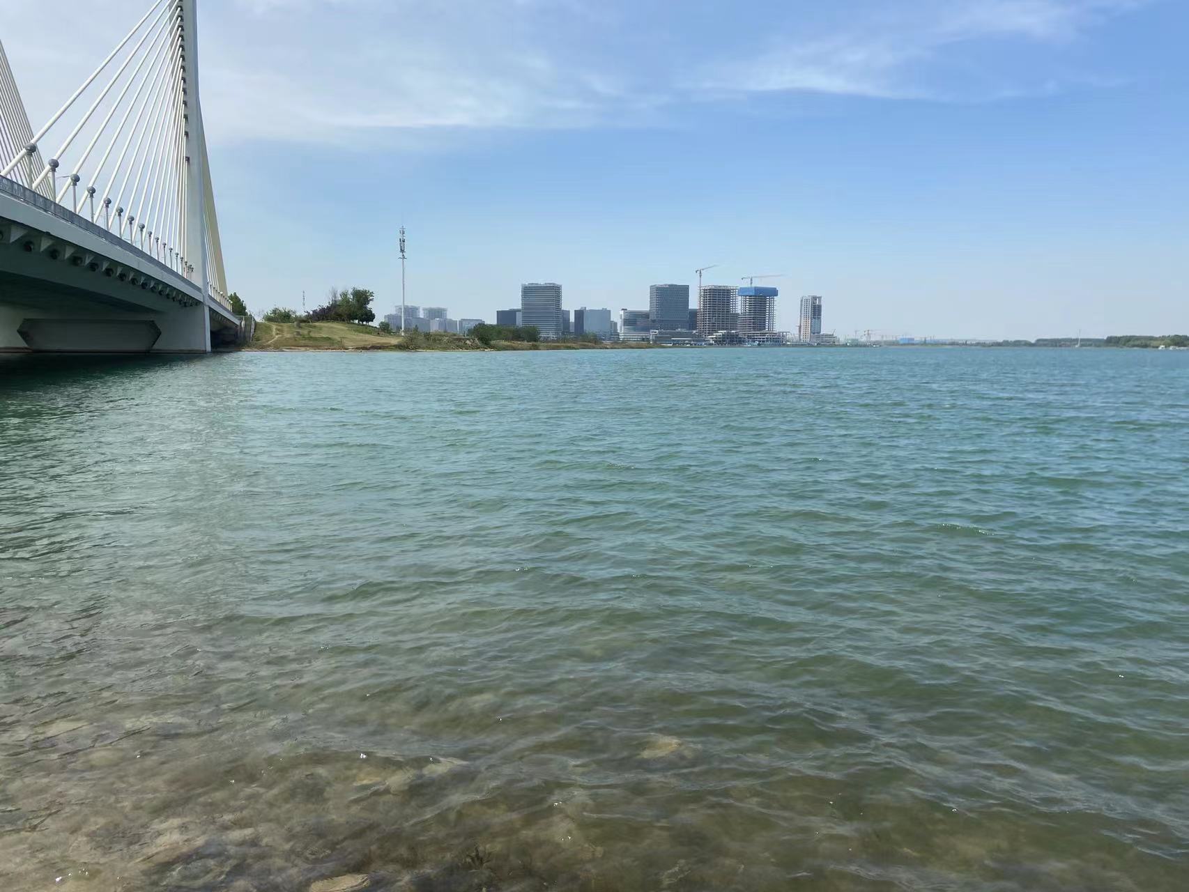 郑州市餐饮行业财务外包APP开发销售和收款系统服务