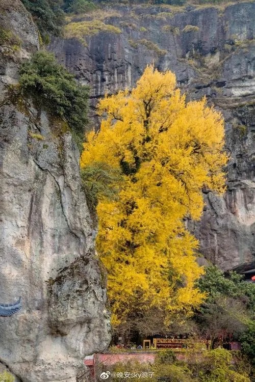 郑州装修二级资质股权转让价格跟注册***有关联吗