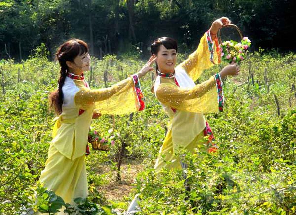 郑州/市政三级房建三级股权转让，钢钩三地基三股权转让