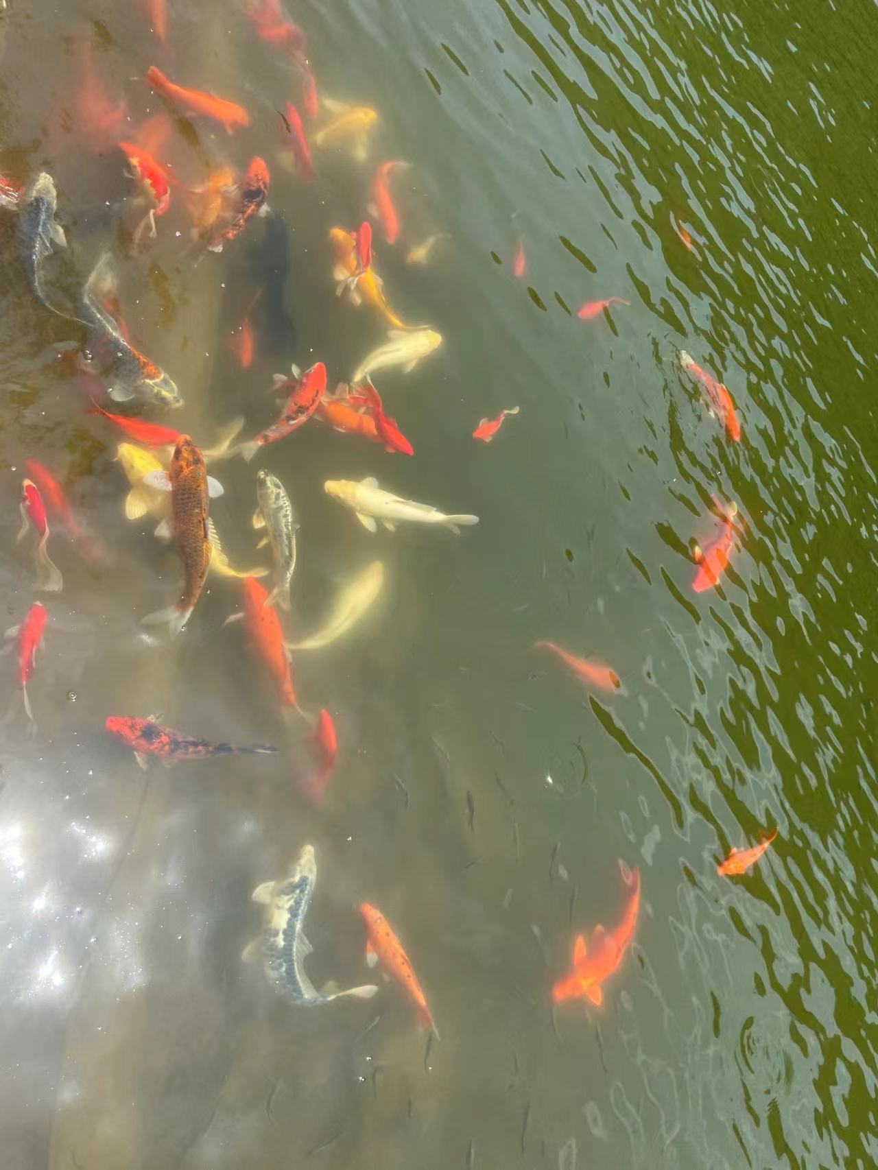 郑州电子智能化二级资质转让 股权 高管